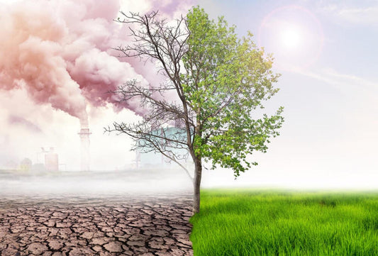 environment air quality